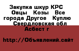 Закупка шкур КРС , Овцы , Козы - Все города Другое » Куплю   . Свердловская обл.,Асбест г.